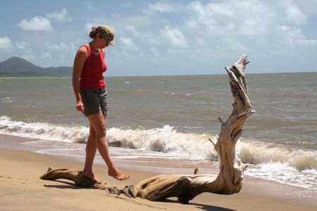 Ella Bay bei Innisfail