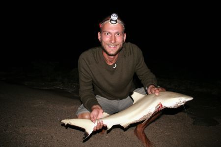 Black tipped Reefshark - man beachte den mordluesternen Blick (vom Muck)