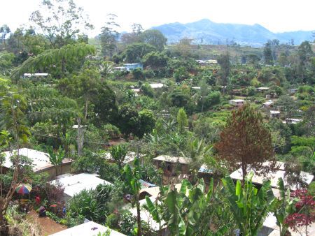 Squatter Settlement in Goroka