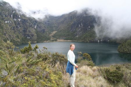 Glasklares Wasser und Forellen im Bergsee