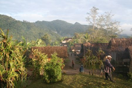 Maimafus grasgedeckte Haeuser