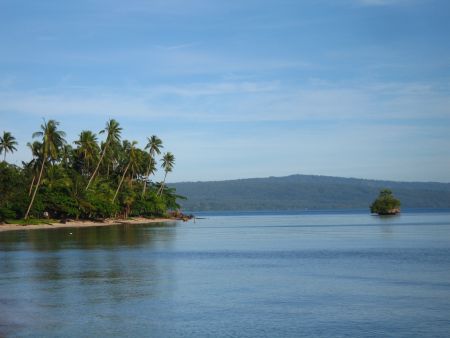 Palmeninselchen