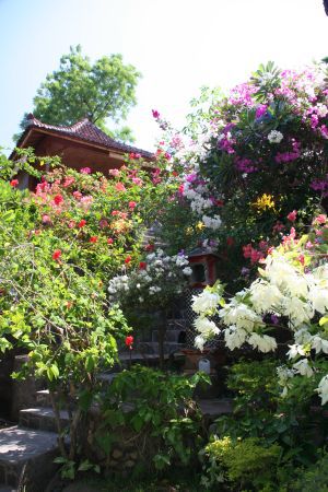Der Garten rund um unser Bambushaeusschen