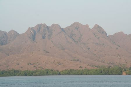 Komodo - Insel der Drachen