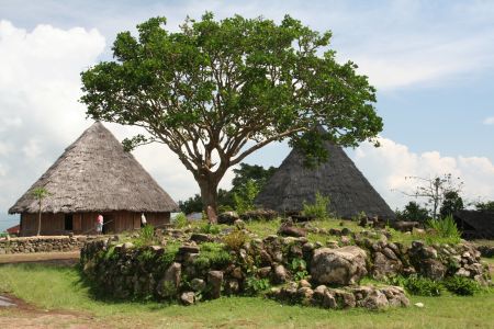 Ruteng Piu mit Opfersteinen und den beiden letzten traditionellen Haeusern