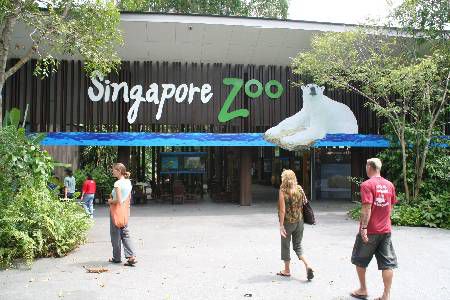 Der Zoo mit seiner Hauptattraktion