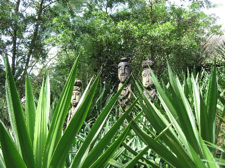 afrikanische Wildnis