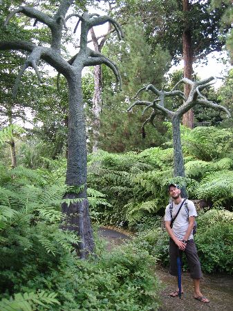Muck im praehistorischen Wald