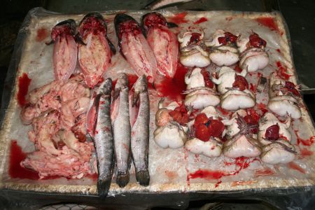 Serviervorschlag Fisch und Frosch: sorgsam ausgeweidet und liebevoll angerichtet