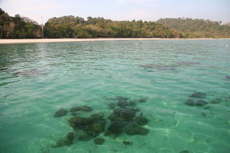 Riffpatches vor Koh Rok