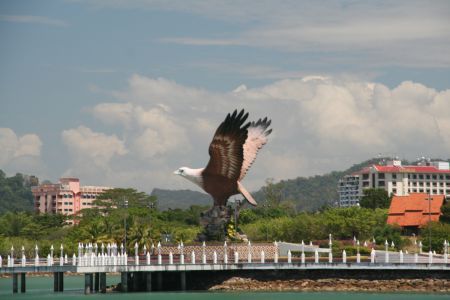 kreisende Seeadler sahen wir viele ueber den Inseln beim Segeln, nie jedoch so grosse