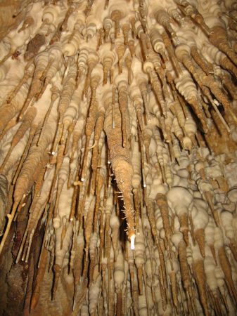 Stalagtitenkindergarten