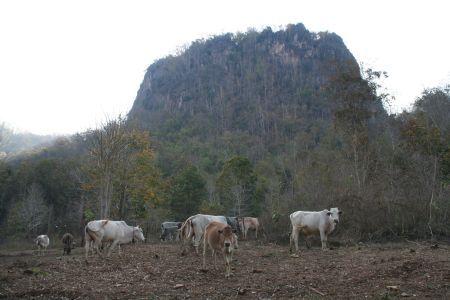 Kalkfelsen wohin das Auge blickt