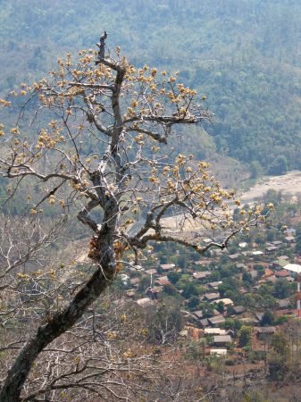 Blick uebers Dorf