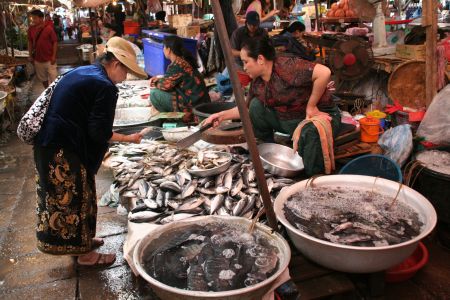 fangfrischer Fisch