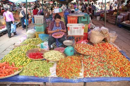 Karotten, Tomaten, Limetten und natuerlich Chilies