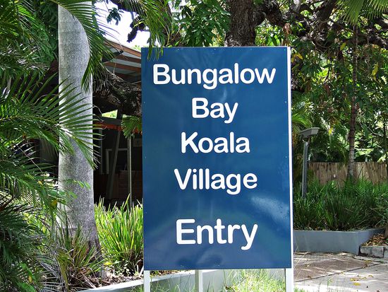 Los gings ...Vorfreude pur...