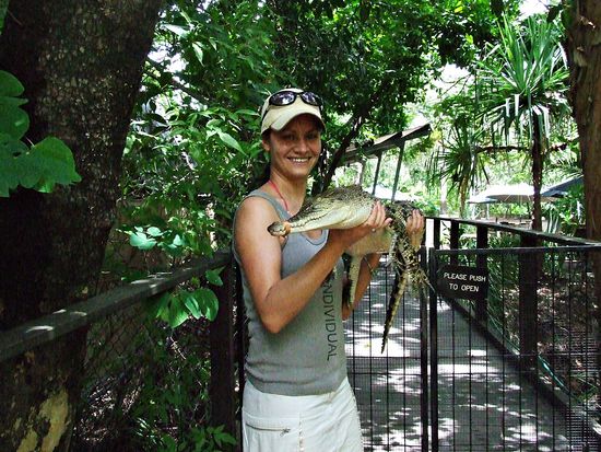 Unser kleiner Alligator