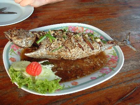 frischer Thunfisch - yammie