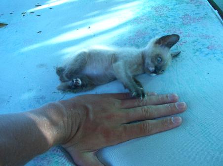 Sooooooo sweeeeeet