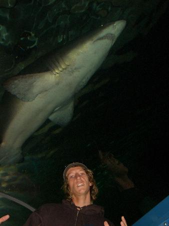 Aquazoo ,Sydney