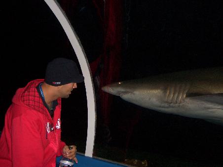 AQUAZOO