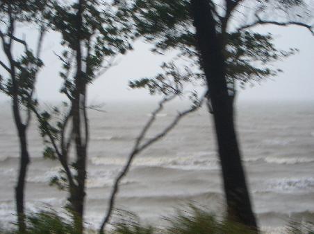 auffem Weg nach Cape Tribulation