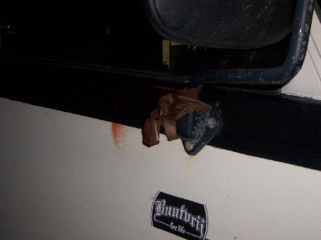 Freddy unser Maskotchen