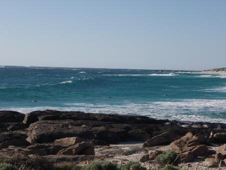Big Wave ...Contospring