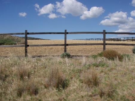 Ozzi Landschaft