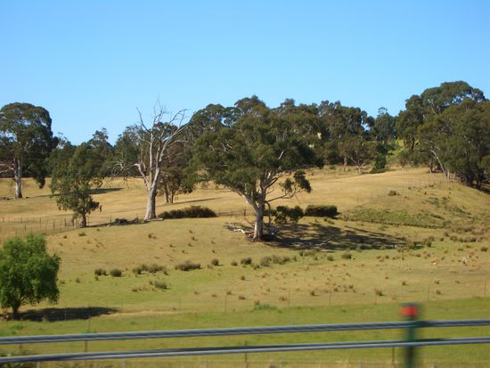 die Umgebung , erst wueste dann Wald, dann gruene Felder,dann das....