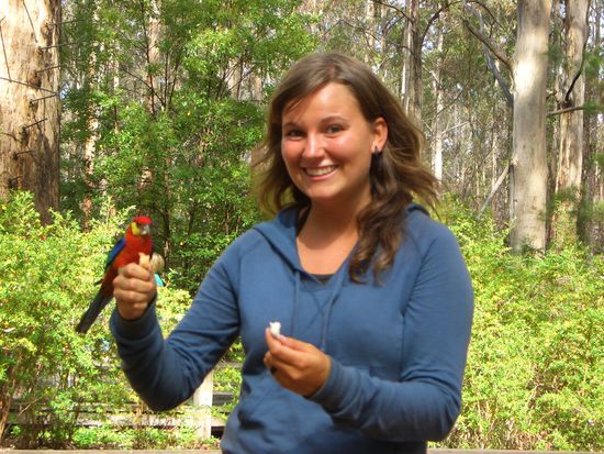 Laura +Fogel..links seht ihr den 70 M hohen nagelbaum