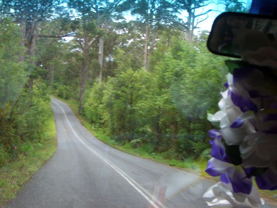 Auf dem weg zum Diamont Tree