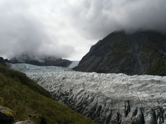 Fox Glacier