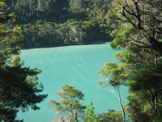 mag man direkt reinhuepfen