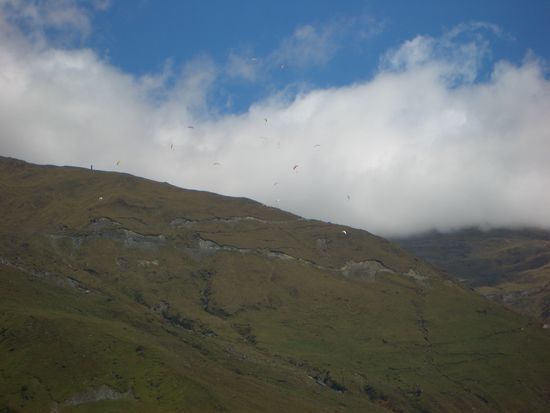 n himmel voller paraglider und kein mensch weiss warum (naehe queenstown