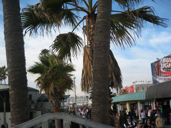 Venice Beach