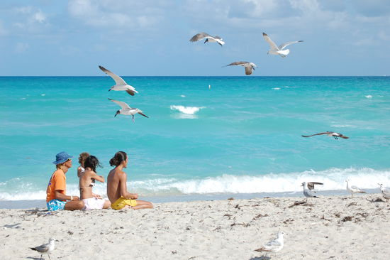 Southbeach...Japan und die drecksvoegel