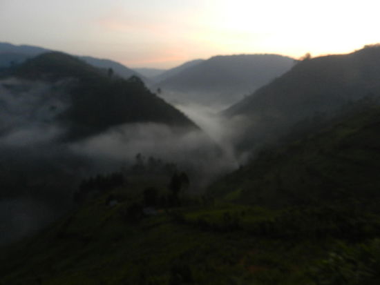 Nebel liegt über den Bergen im Bwindi Impenetrable Nationalpark