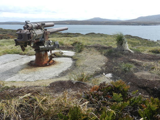 Von den Hügel bei Gipsy´s Cove hatte die Geschützbesatzung im 2. Weltkrieg einen Überblick über die Hafeneinfahrt nach Port Stanley