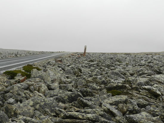 Eigenartige, seltene Felsansammlung wurden wohl in einer der letzten Eiszeiten über das Land getrieben