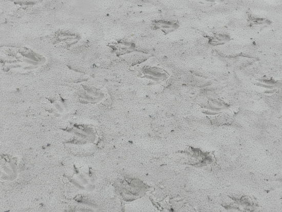 Fußspuren im Sand