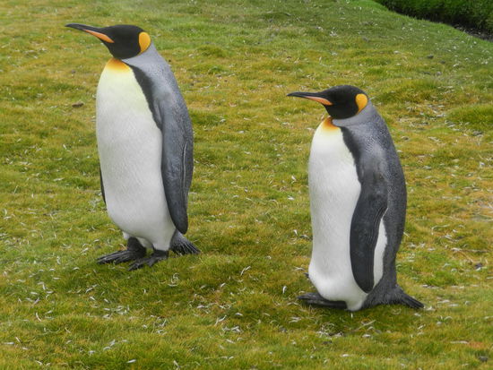 ... während diese beiden sich eher nichts zu erzählen haben!