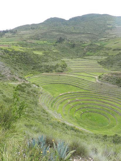 Die Kreise von Moray