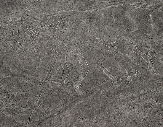 Scharrbild eines Affen (da meine Bilder nicht so kontrastreich sind, habe ich hier ein urheberrechtsfreies Wikipediabild einkopiert; Autor Markus Leupen-Löwenthal), 110 m