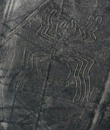 Spinne mit 46 m Abmessungen