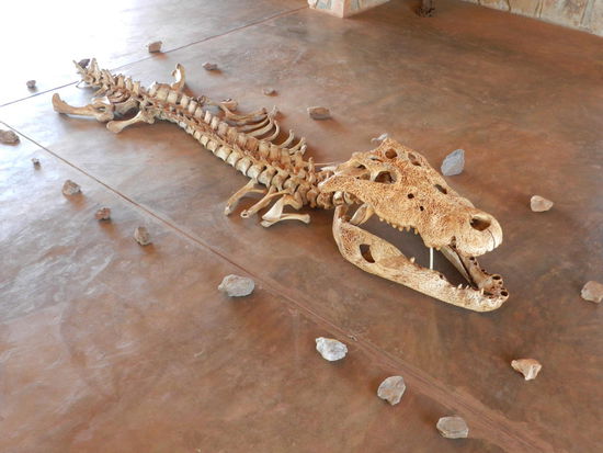 Seine noch lebenden Angehörigen sollen aber noch im Park existieren.