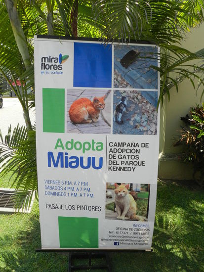 Ein netter Name für diese Aktion: adoptiere eine Miau