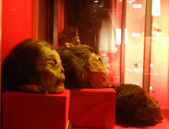 Mumifizierte Trophäenschädel