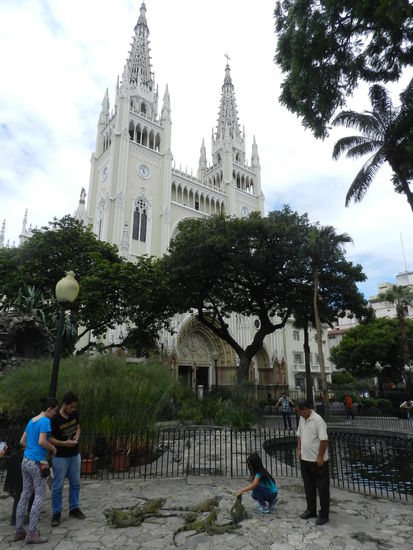 Im Seminariopark in Guayaquil mit seinen halbwilden Leguanen